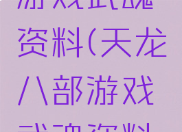 天龙八部游戏武魂资料(天龙八部游戏武魂资料大全)