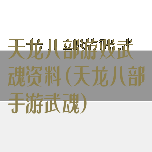天龙八部游戏武魂资料(天龙八部手游武魂)