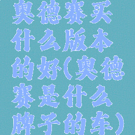 奥德赛买什么版本的好(奥德赛是什么牌子的车)