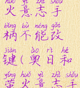 奥日与萤火意志手柄不能改键(奥日和萤火意志手柄设置)