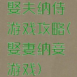 娶夫纳侍游戏攻略(娶妻纳妾游戏)
