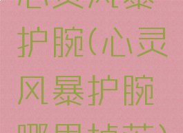 心灵风暴护腕(心灵风暴护腕哪里掉落)