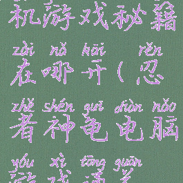 忍者神龟单机游戏秘籍在哪开(忍者神龟电脑游戏通关攻略)