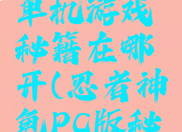 忍者神龟单机游戏秘籍在哪开(忍者神龟PC版秘籍)