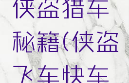 快吧游戏侠盗猎车秘籍(侠盗飞车快车秘籍)