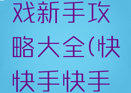 快手小游戏新手攻略大全(快快手快手小游戏)