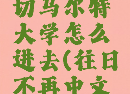 往日不再切马尔特大学怎么进去(往日不再中文版下载)