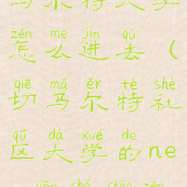 往日不再切马尔特大学怎么进去(切马尔特社区大学的nero检查哨怎么进去)