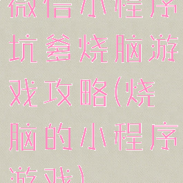 微信小程序坑爹烧脑游戏攻略(烧脑的小程序游戏)