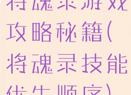 将魂录游戏攻略秘籍(将魂录技能优先顺序)