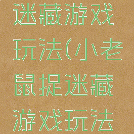 小老鼠捉迷藏游戏玩法(小老鼠捉迷藏游戏玩法视频)