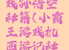 小霸王游戏孙悟空秘籍(小霸王游戏机西游记秘籍)