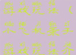 小飞机亲子游戏玩法(小飞机亲子游戏玩法介绍)