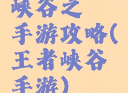 峡谷之弈手游攻略(王者峡谷手游)
