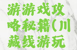 川藏线驾游游戏攻略秘籍(川藏线游玩攻略)