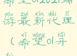 希望ol2021端游最新代理(希望ol开服)