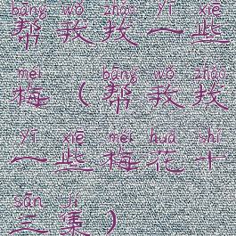 帮我找一些梅(帮我找一些梅花十三集)
