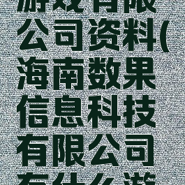 广州数果游戏有限公司资料(海南数果信息科技有限公司有什么游戏)