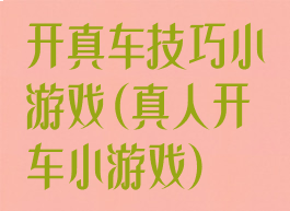 开真车技巧小游戏(真人开车小游戏)