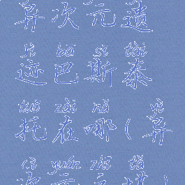 异次元遗迹巴斯泰托在哪(异次元之塔)