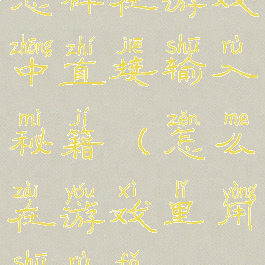 怎样在游戏中直接输入秘籍(怎么在游戏里用输入法)