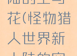 怪物猎人世界新大陆的空与花(怪物猎人世界新大陆的空与花打不过)