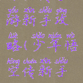 悟空传手游新手攻略(少年悟空传新手攻略)