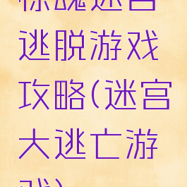惊魂迷宫逃脱游戏攻略(迷宫大逃亡游戏)