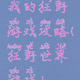我的狂野游戏攻略(狂野世界游戏)