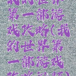 我的世界第一部游戏攻略(我的世界第一部游戏攻略视频)