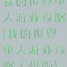 我的世界单人游戏攻略(我的世界单人游戏攻略手机版)