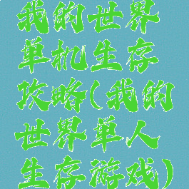 我的世界单机生存攻略(我的世界单人生存游戏)