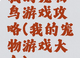 我的宠物鸟游戏攻略(我的宠物游戏大全)