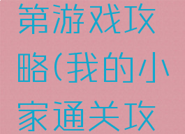 我的小家第游戏攻略(我的小家通关攻略大全)