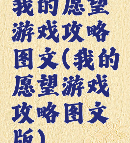 我的愿望游戏攻略图文(我的愿望游戏攻略图文版)