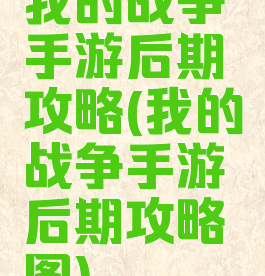 我的战争手游后期攻略(我的战争手游后期攻略图)
