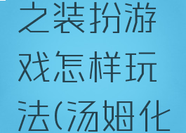 我的汤姆之装扮游戏怎样玩法(汤姆化妆游戏)