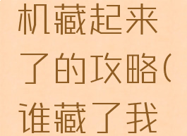 我的游戏机藏起来了的攻略(谁藏了我的游戏机)