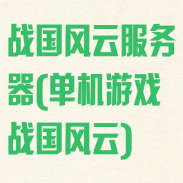 战国风云服务器(单机游戏战国风云)
