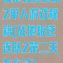 战地叛逆连队2单人游戏秘籍(战地叛逆连队2第二关怎么过)
