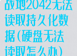 战地2042无法读取持久化数据(硬盘无法读取怎么办)