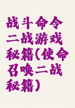 战斗命令二战游戏秘籍(使命召唤二战秘籍)