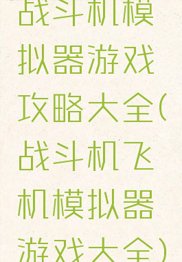 战斗机模拟器游戏攻略大全(战斗机飞机模拟器游戏大全)