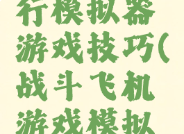 战斗机飞行模拟器游戏技巧(战斗飞机游戏模拟驾驶)
