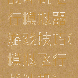 战斗机飞行模拟器游戏技巧(模拟飞行战斗机)