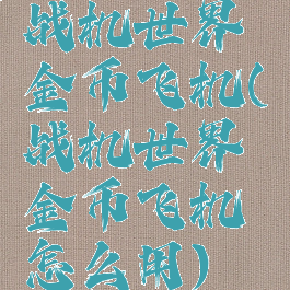 战机世界金币飞机(战机世界金币飞机怎么用)