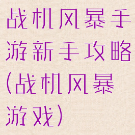 战机风暴手游新手攻略(战机风暴游戏)