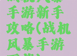 战机风暴手游新手攻略(战机风暴手游下载)