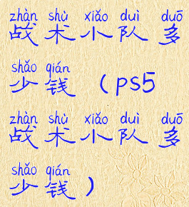 战术小队多少钱(ps5战术小队多少钱)