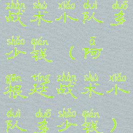 战术小队多少钱(阿根廷战术小队多少钱)